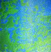 Двухцветная живая плитка  сине зеленового цвета 