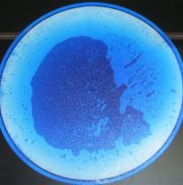 Cтолешница,  цвет голубой / синий,  диаметр 80