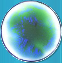  Столешница, цвет зеленый / синий, диаметр 80