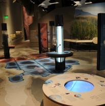 Использование живой плитки в интерактивном музее